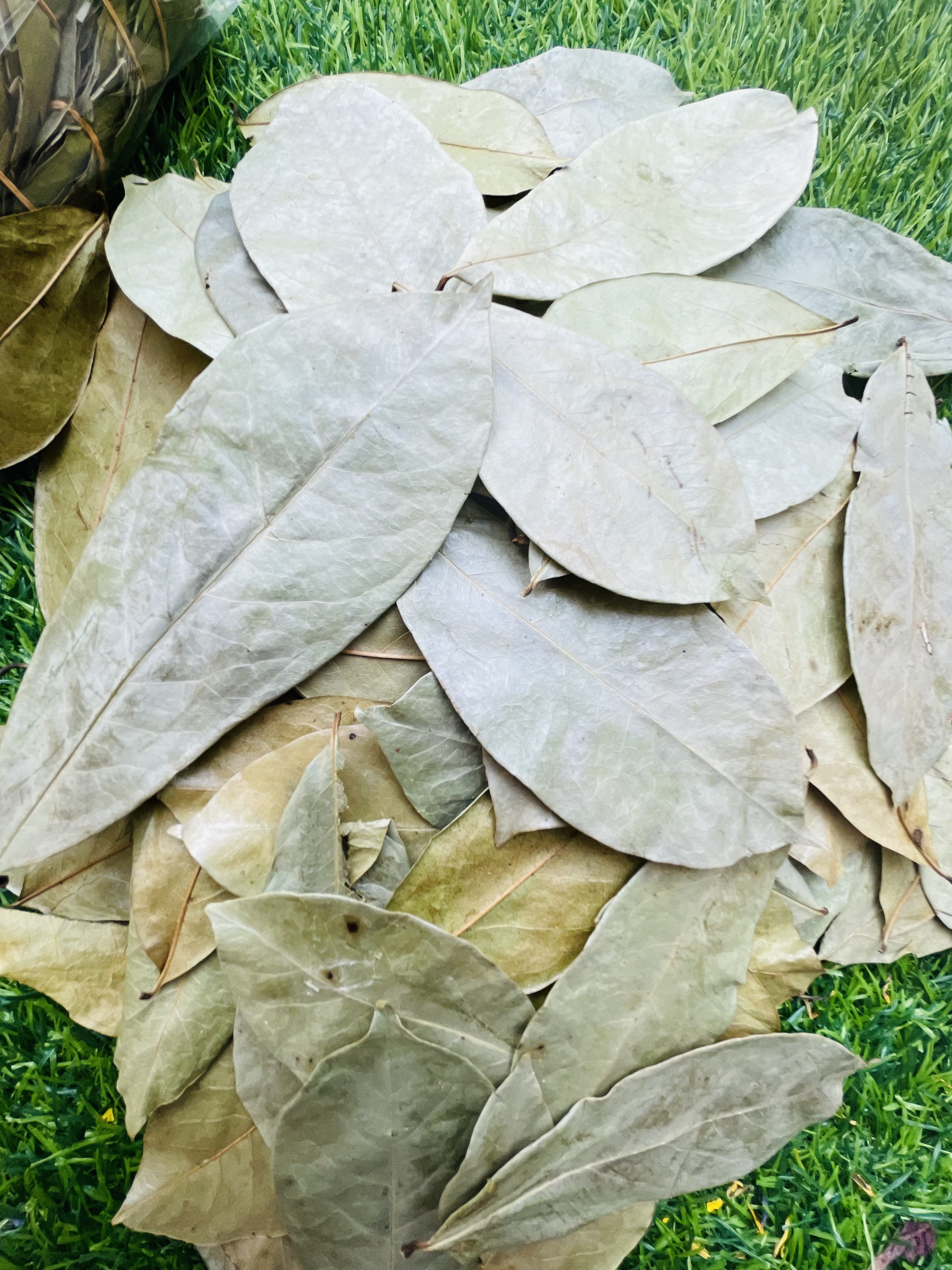 Dried Soursop Leaves
