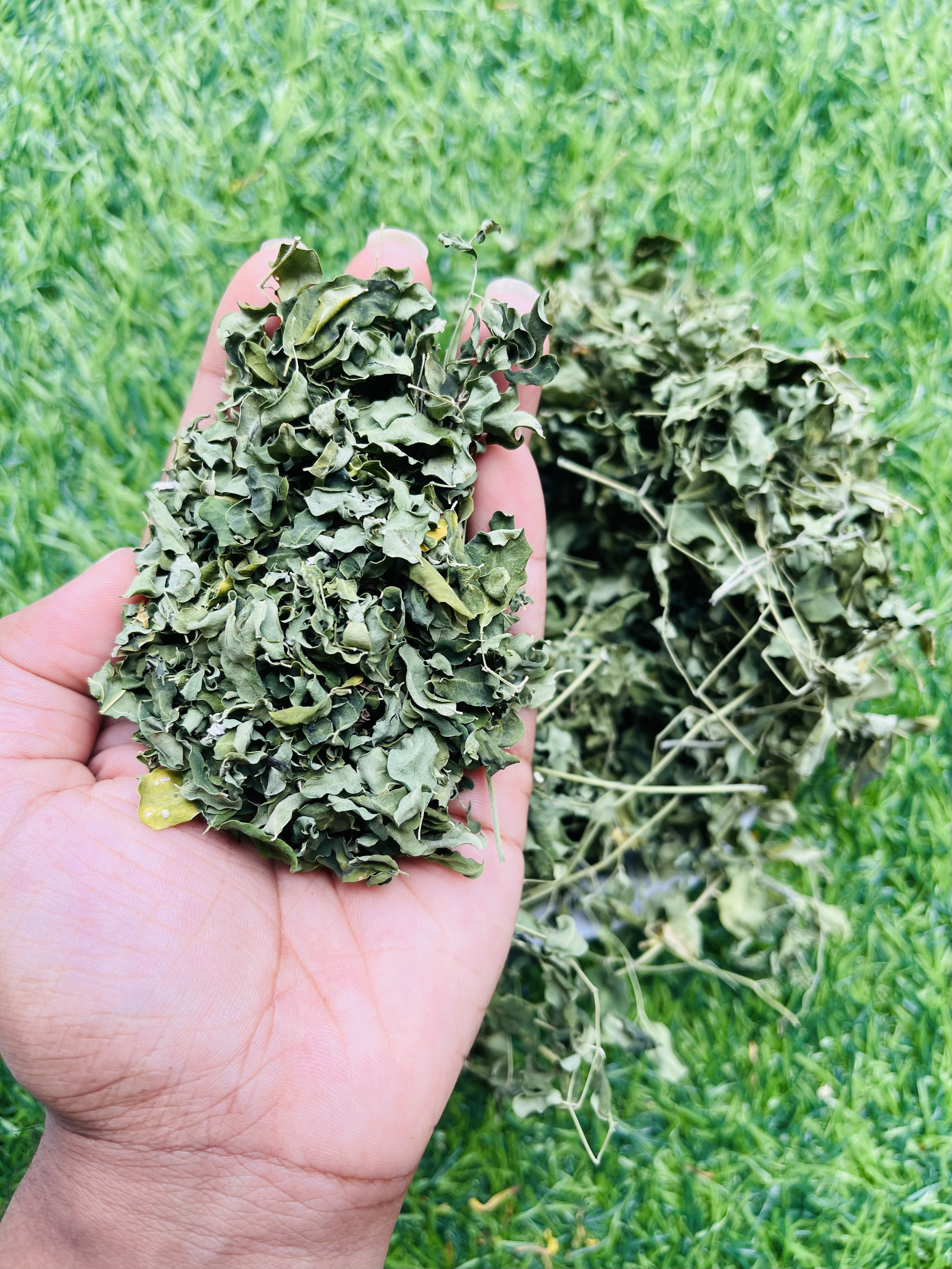 Dried Moringa Leaves