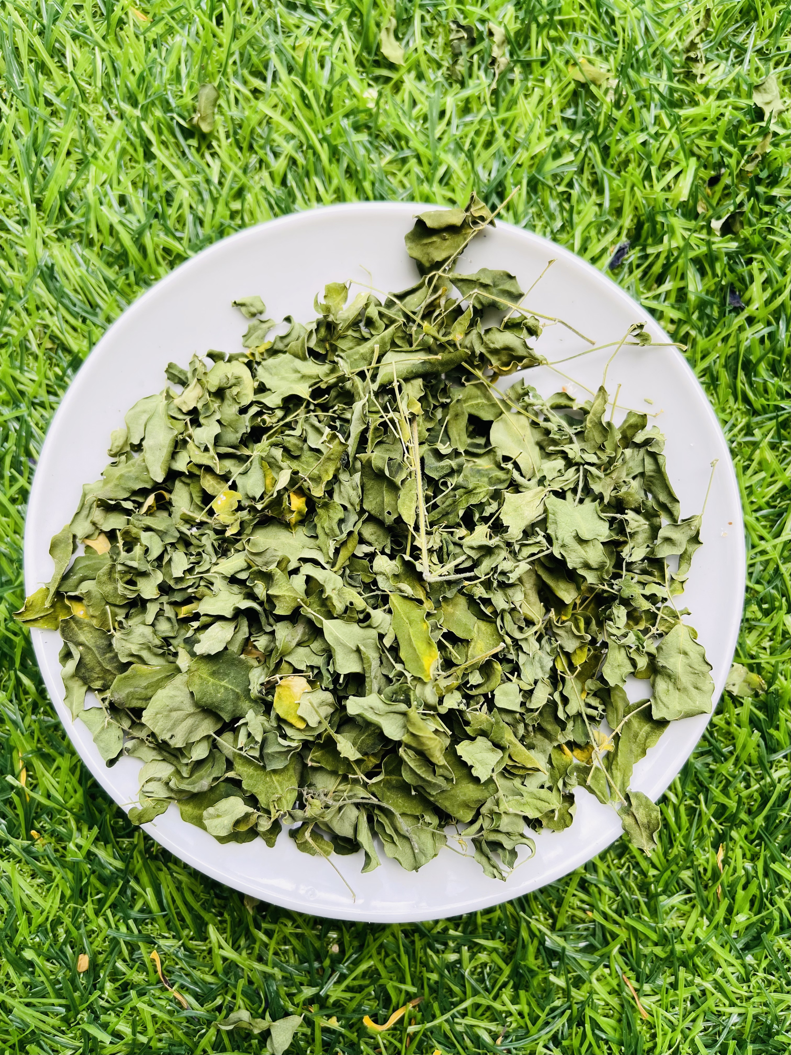 Dried Moringa Leaves