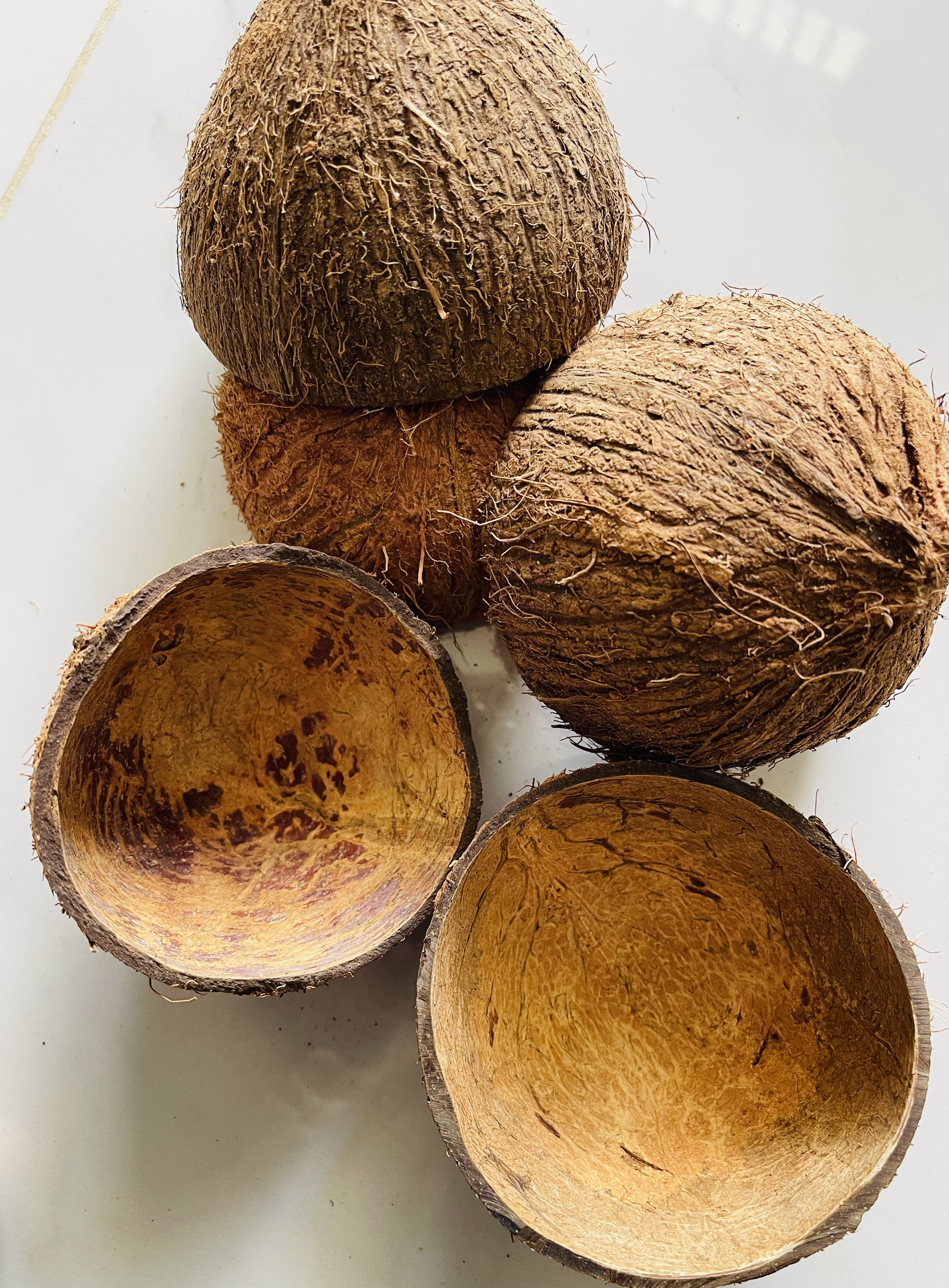 Whole Coconuts with Shells (10 pieces)
