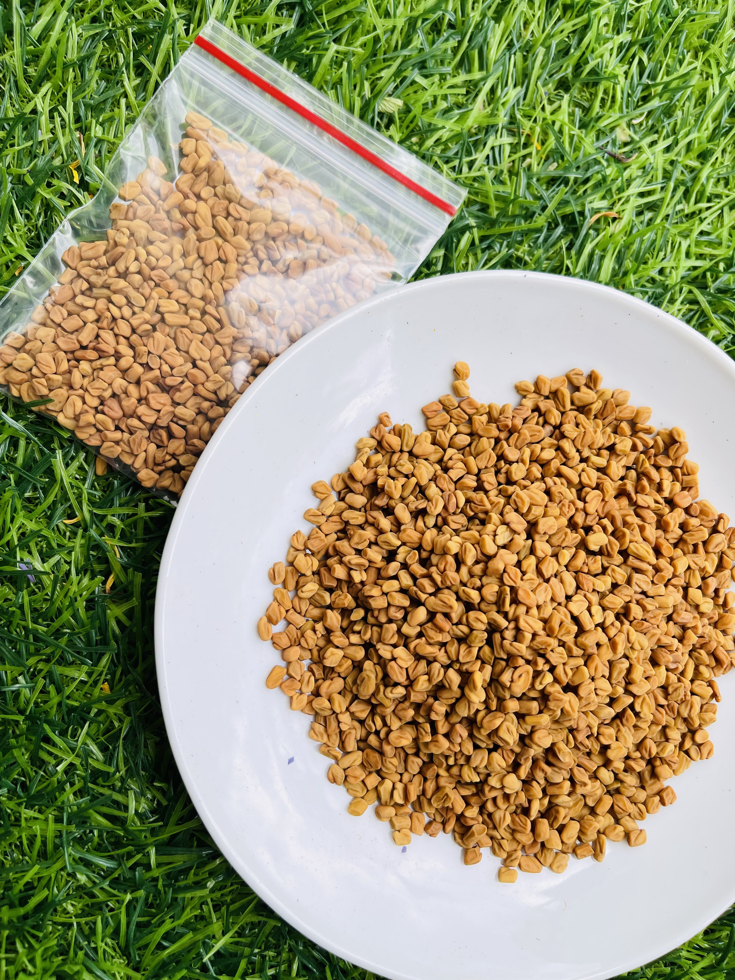 Fenugreek Seeds