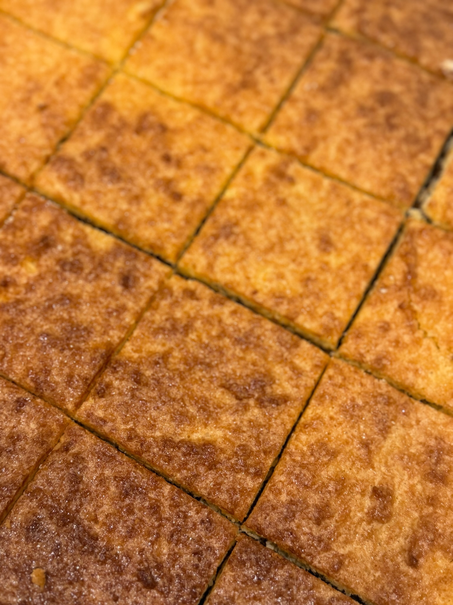 Cuadrado de coco y dulce de leche