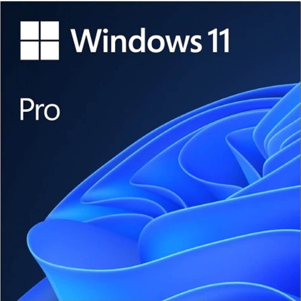 Windows 11 Professional Original