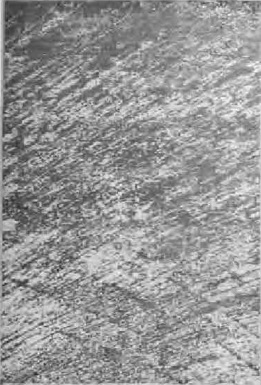 Colección de Tapetes: Textura, Arte y Durabilidad