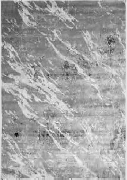 Colección de Tapetes: Textura, Arte y Durabilidad