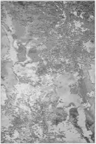 Colección de Tapetes: Textura, Arte y Durabilidad