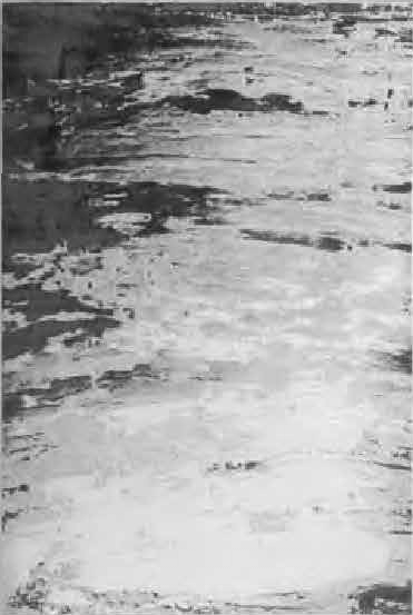 Colección de Tapetes: Textura, Arte y Durabilidad