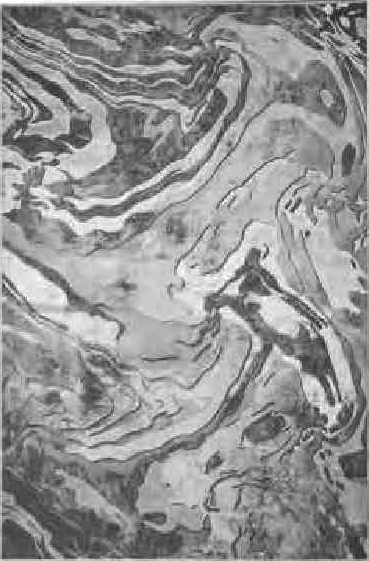 Colección de Tapetes: Textura, Arte y Durabilidad