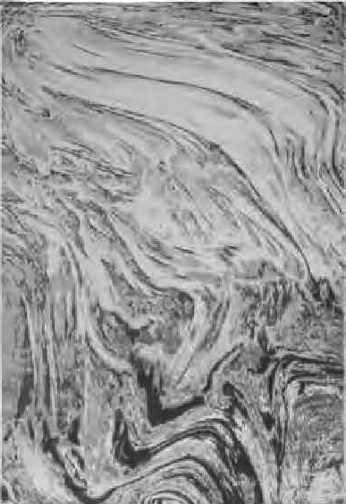 Colección de Tapetes: Textura, Arte y Durabilidad