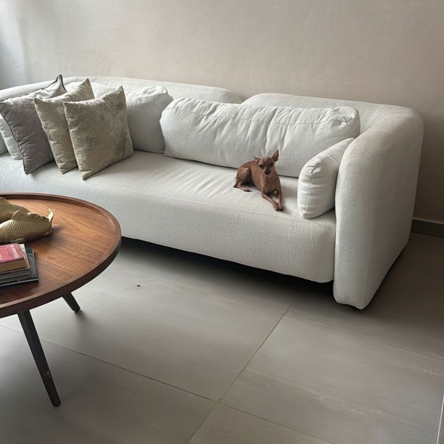 Sillón Individual Minimalista Blanco