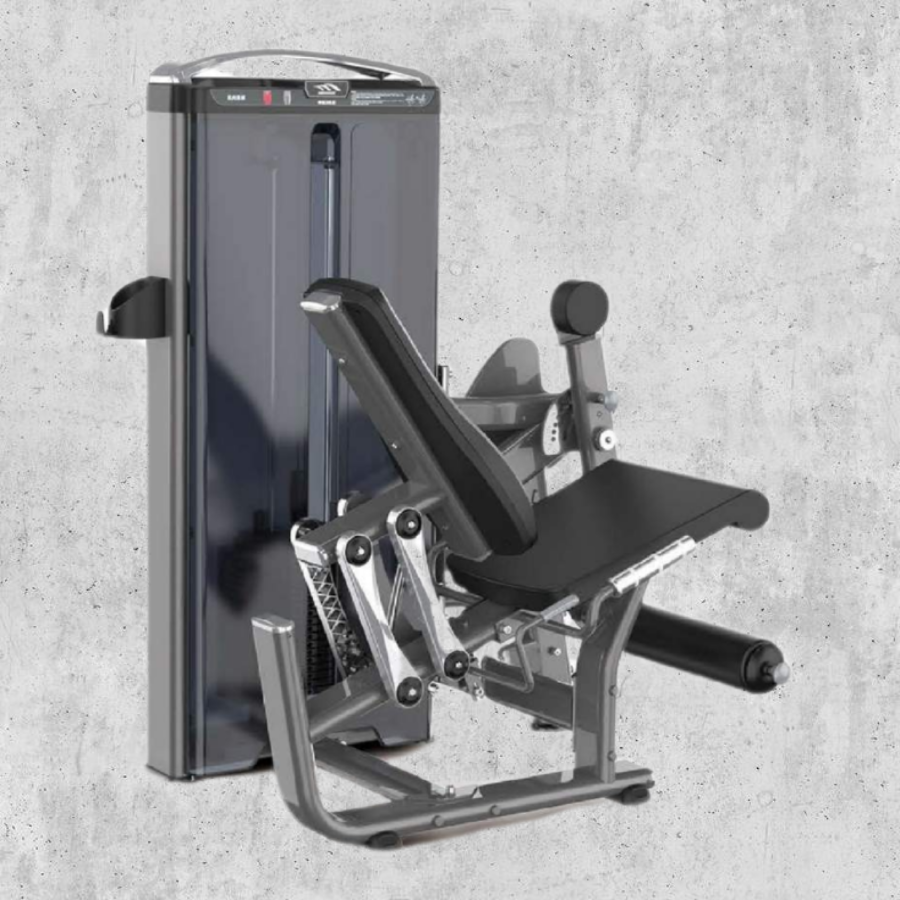 Leg Extensión 