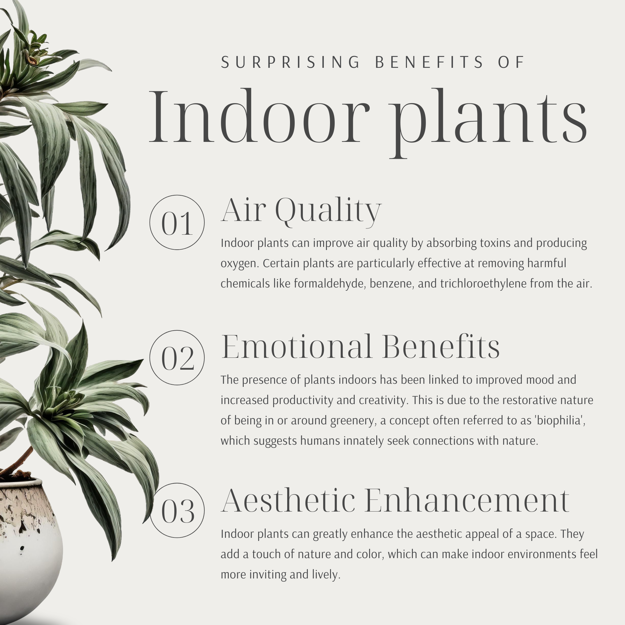 Interior Designer Social Posts