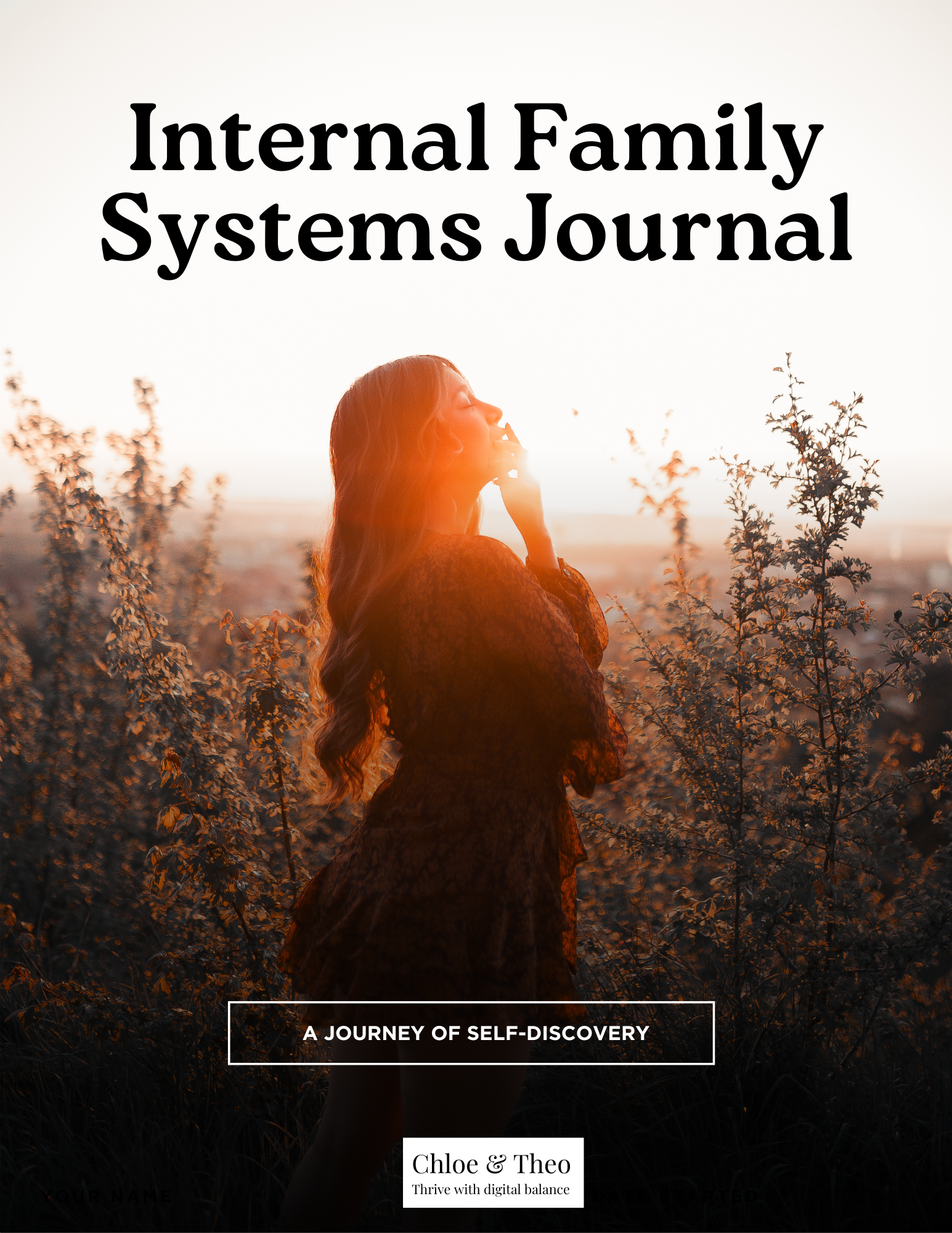 Internal Family Systems Journal
