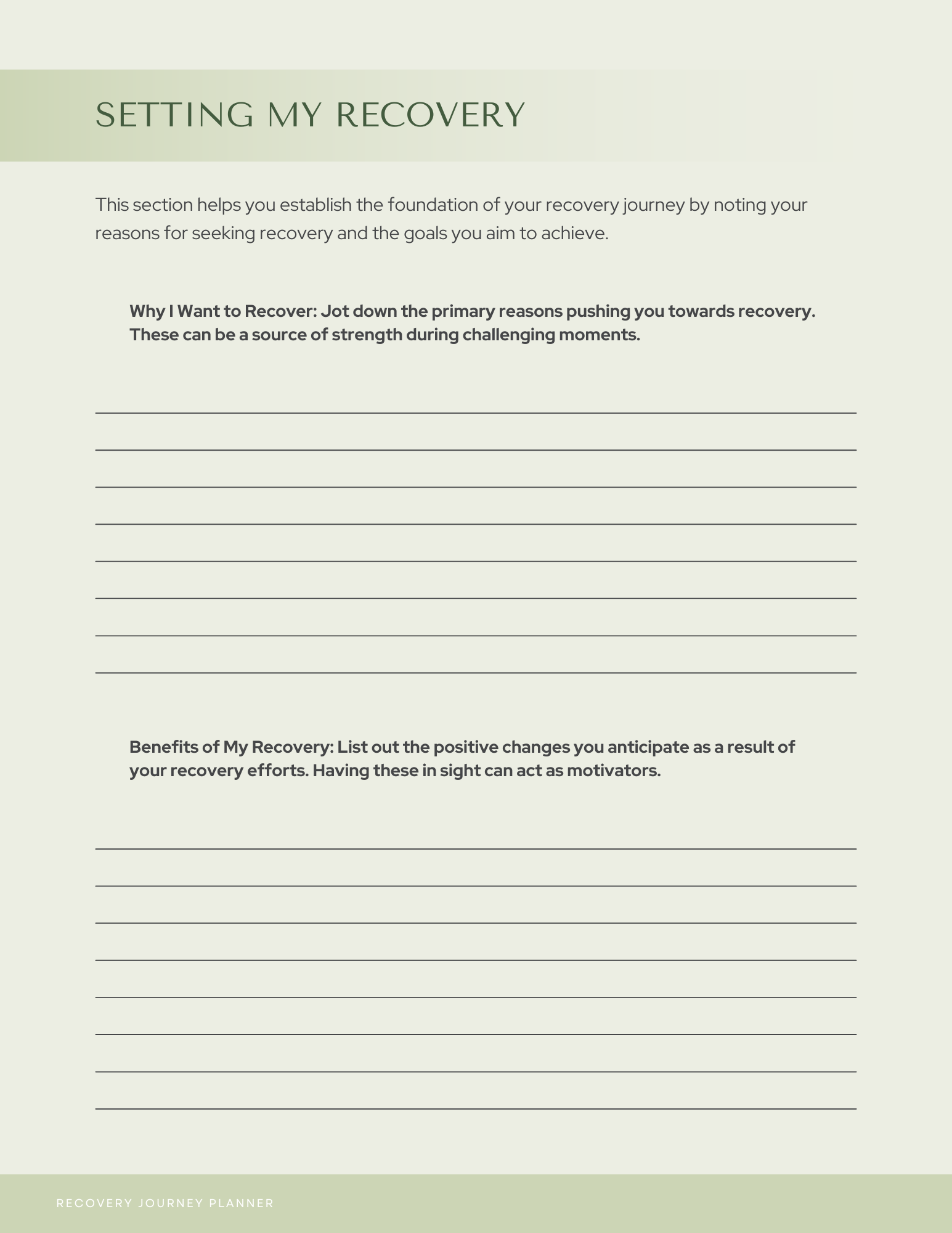 Recovery Journey Planner 