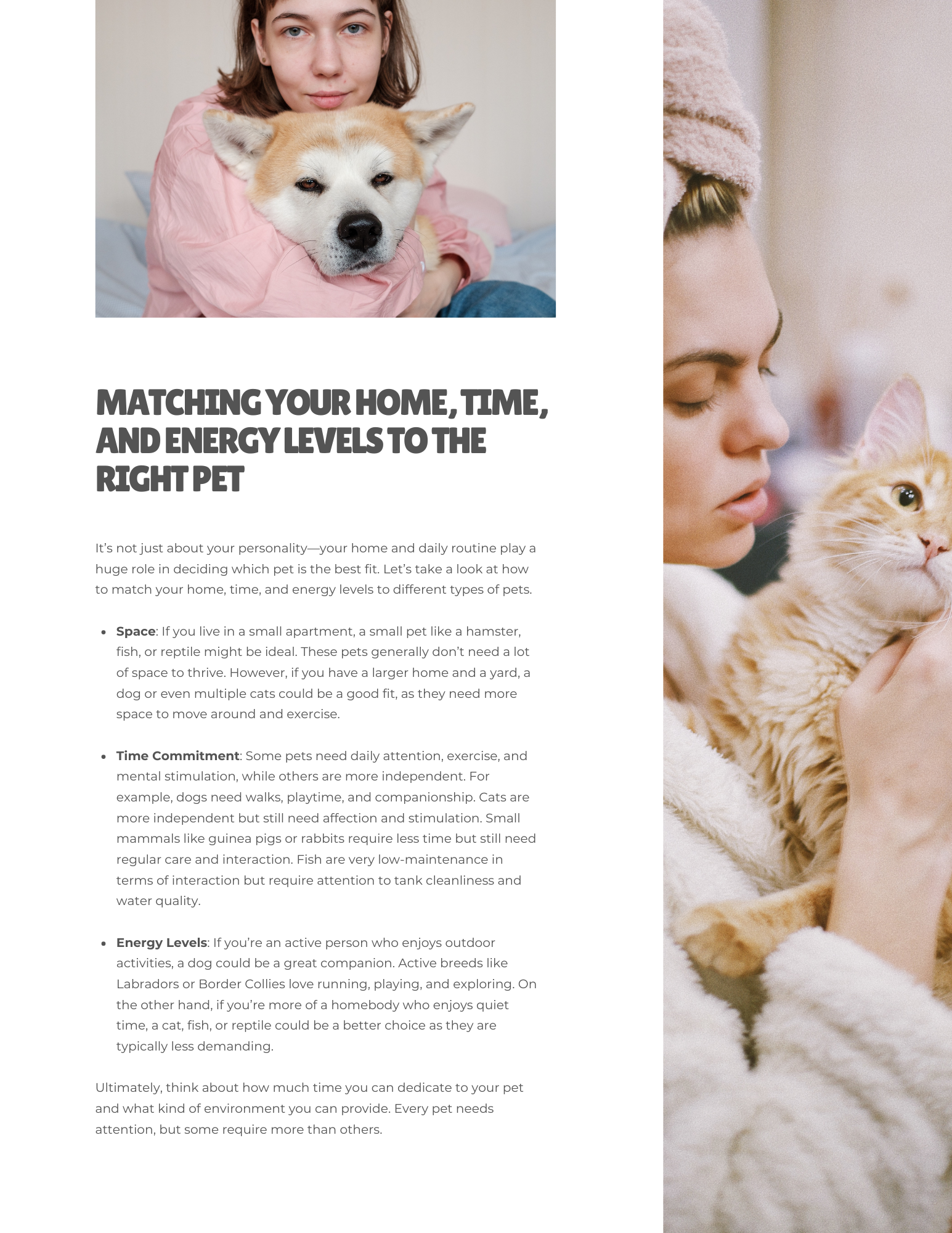 The Ultimate Guide to Pet Care
