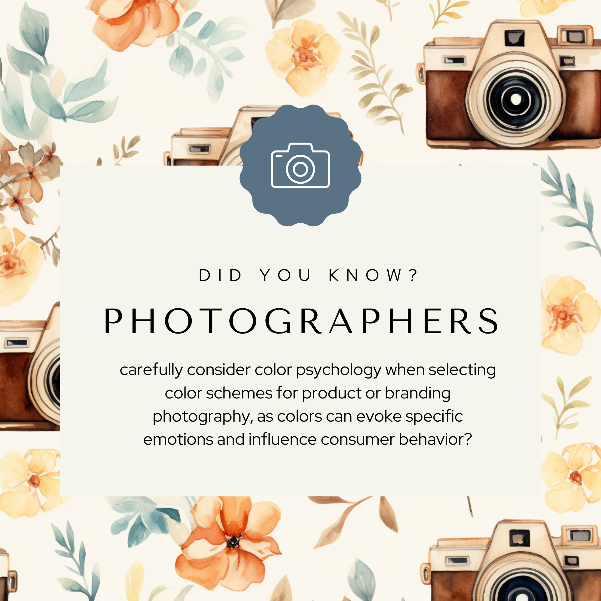 The Photographers Social Posts