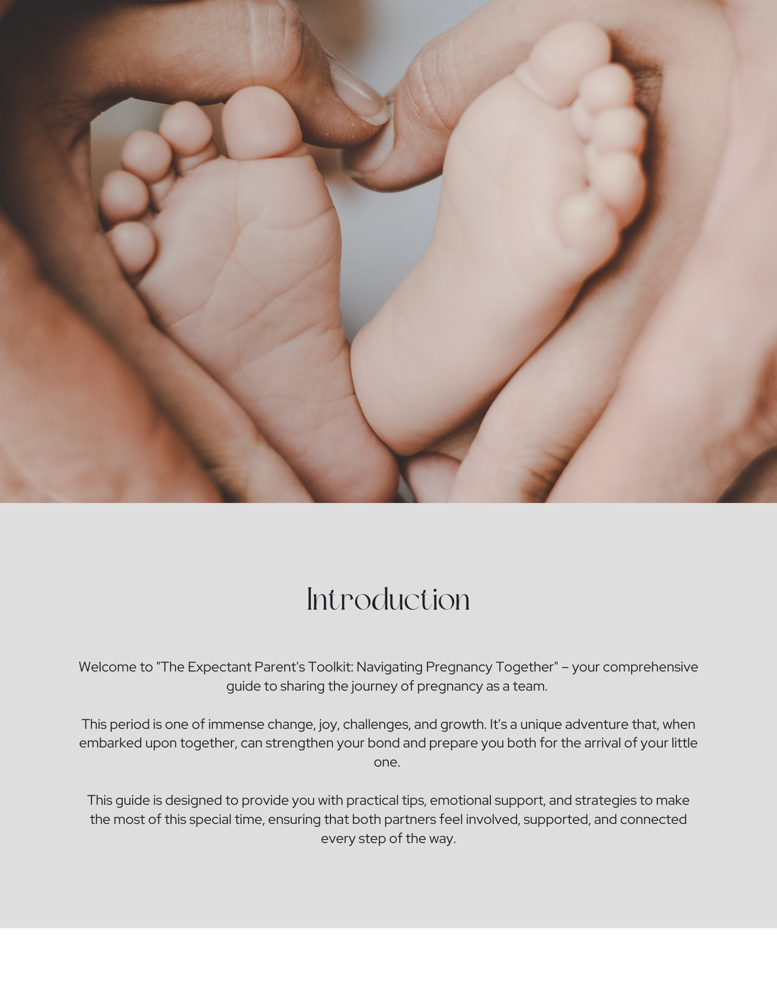 The Expectant Parent's Toolkit