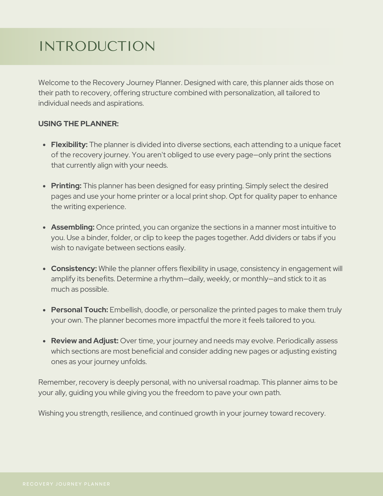 Recovery Journey Planner 