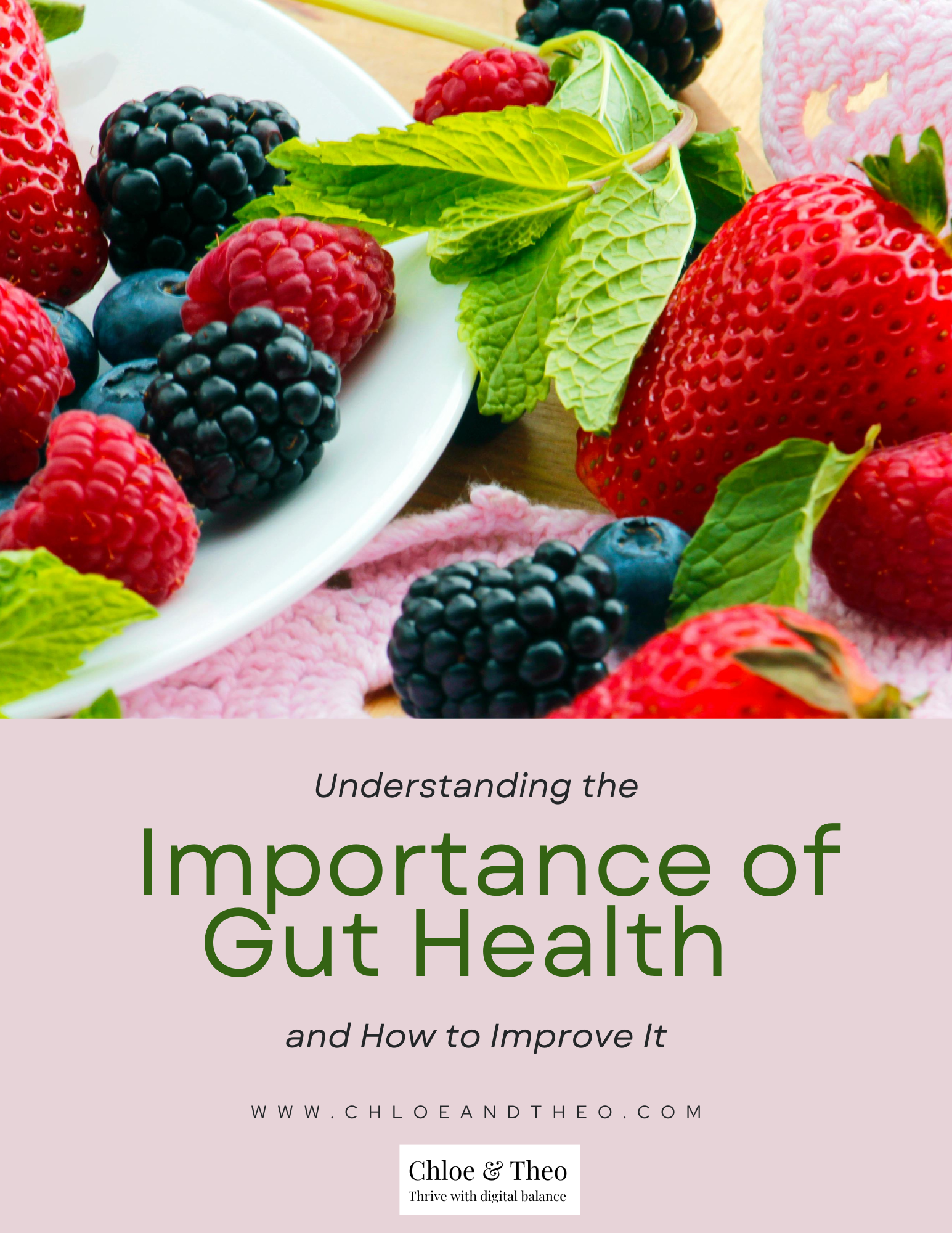 Understanding the importance of gut health 