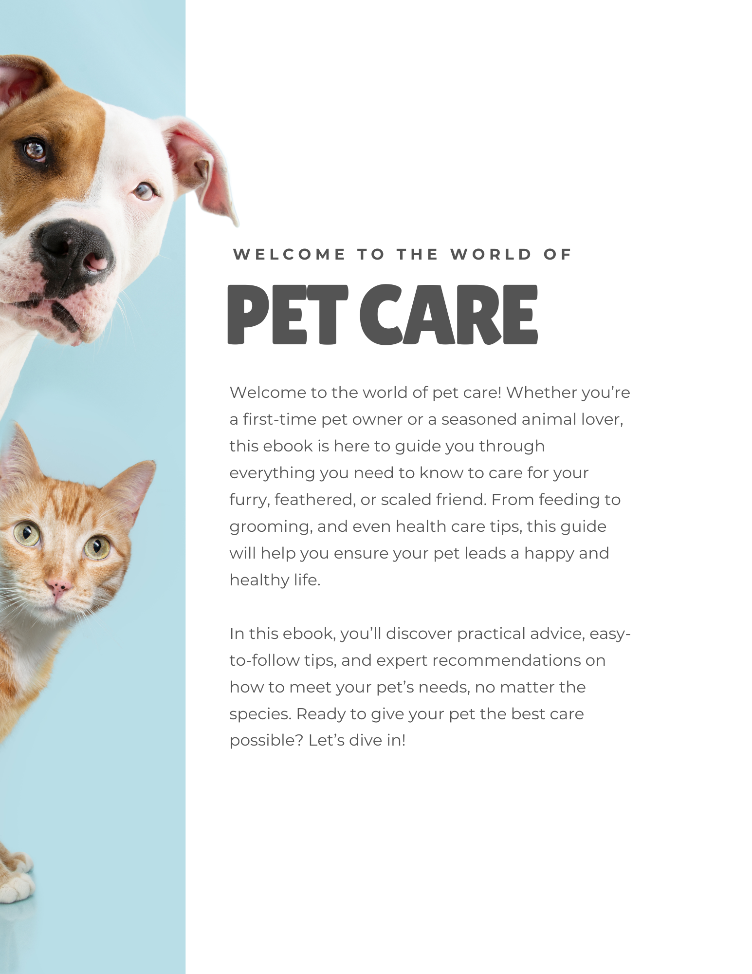 The Ultimate Guide to Pet Care