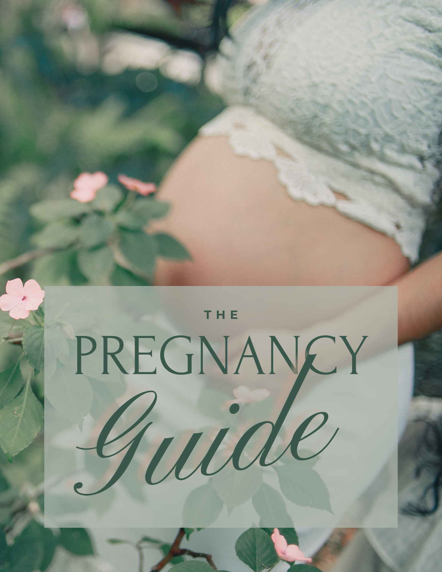 The Pregnancy Guide