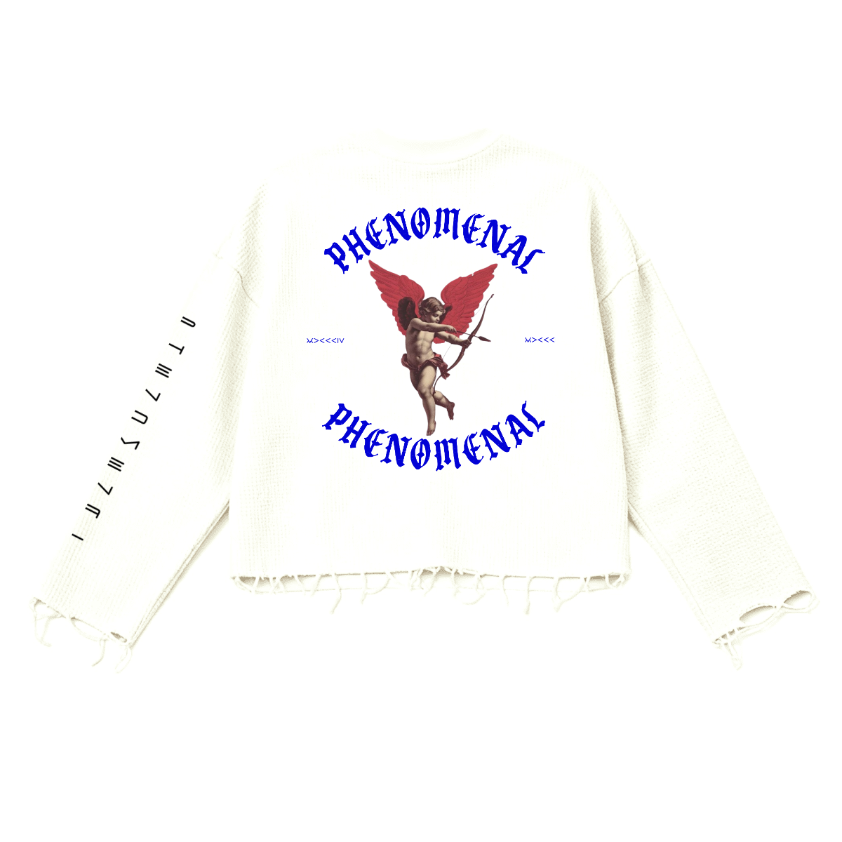 Phenomenal lesous mod Sweater
