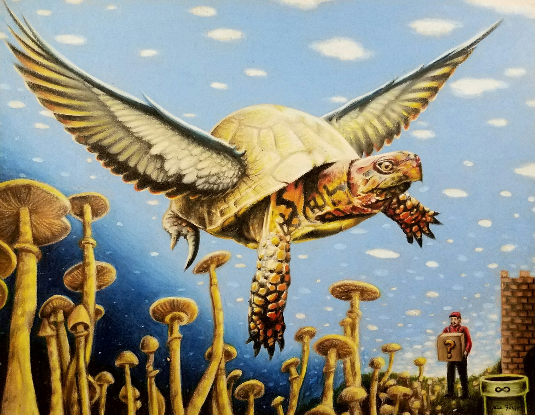 Flying Turtle