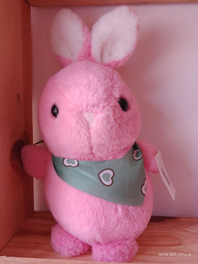 Conejito de peluche rosa