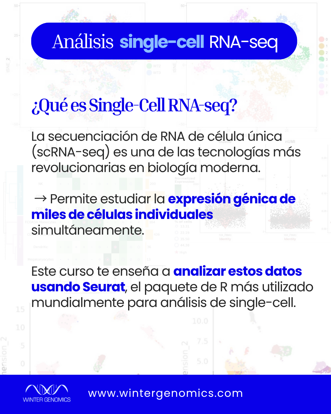 Análisis single-cell RNA-seq