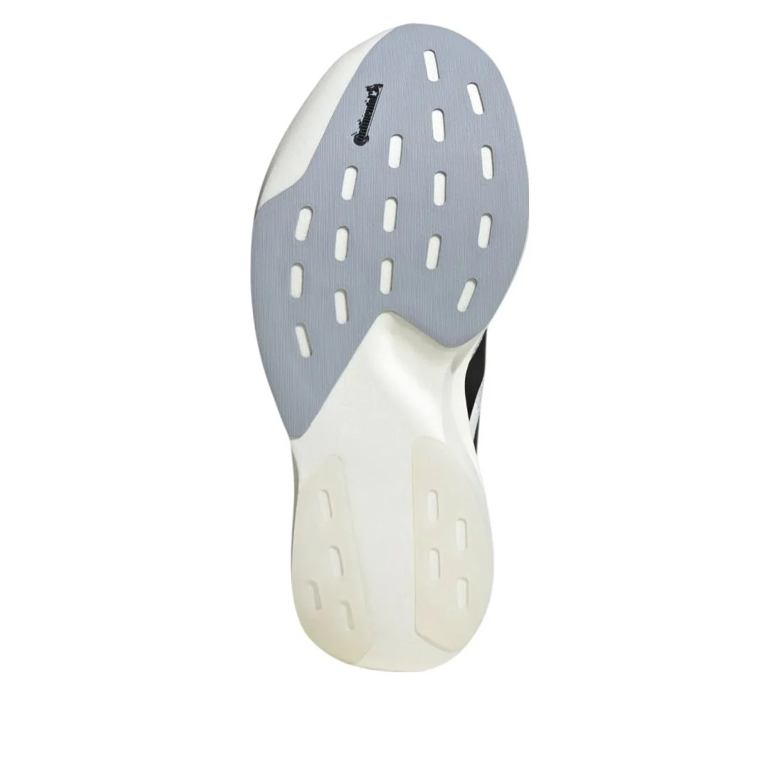 Adizero Evo SL White