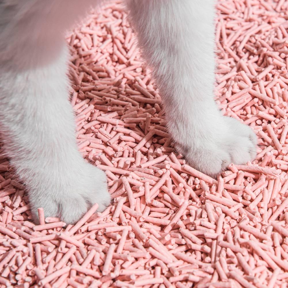 KAČIŲ KRAIKAS „Flushable” TOFU-6L/2,5Kg., (Žalia arbata) 