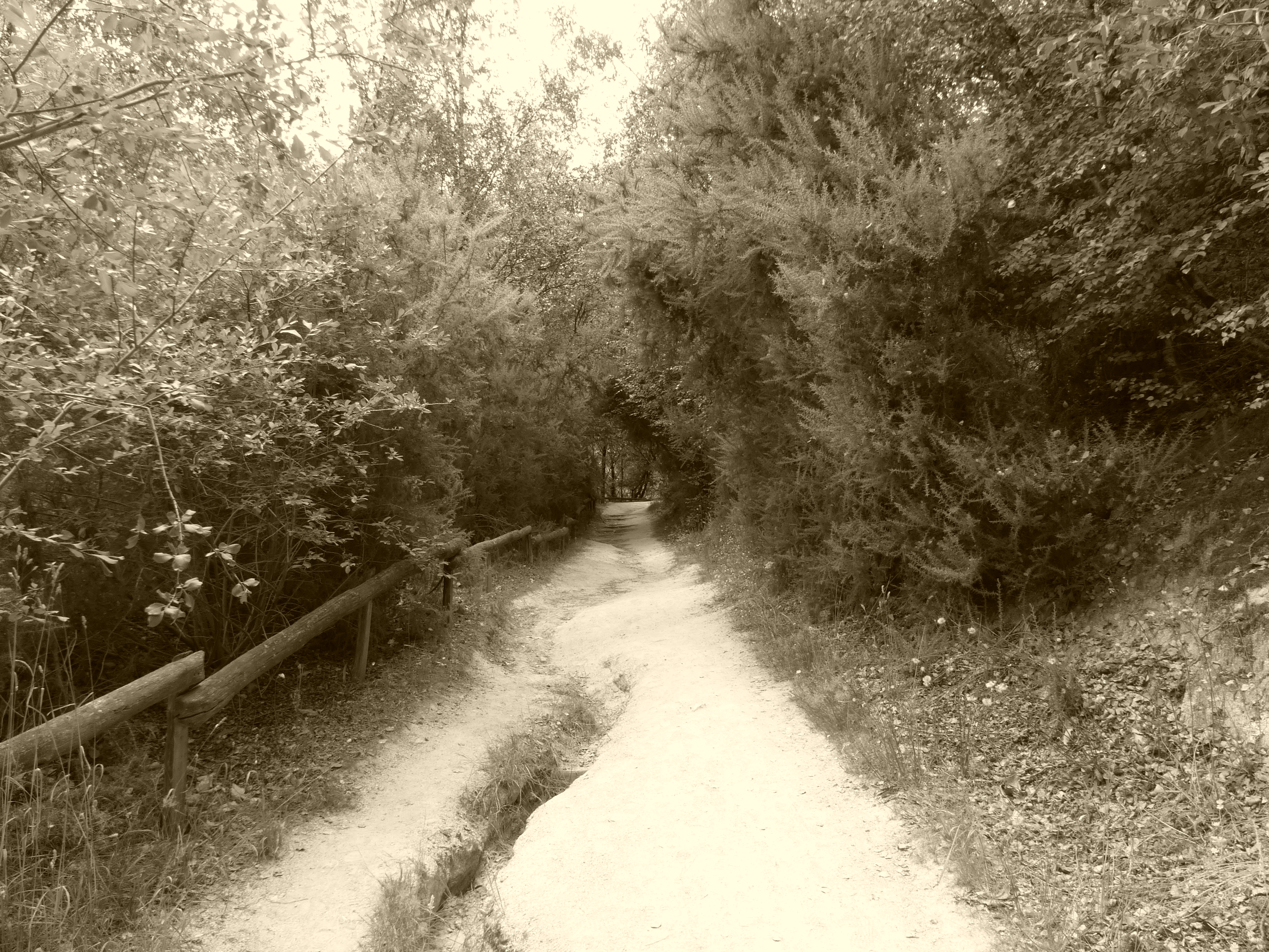 chemin 