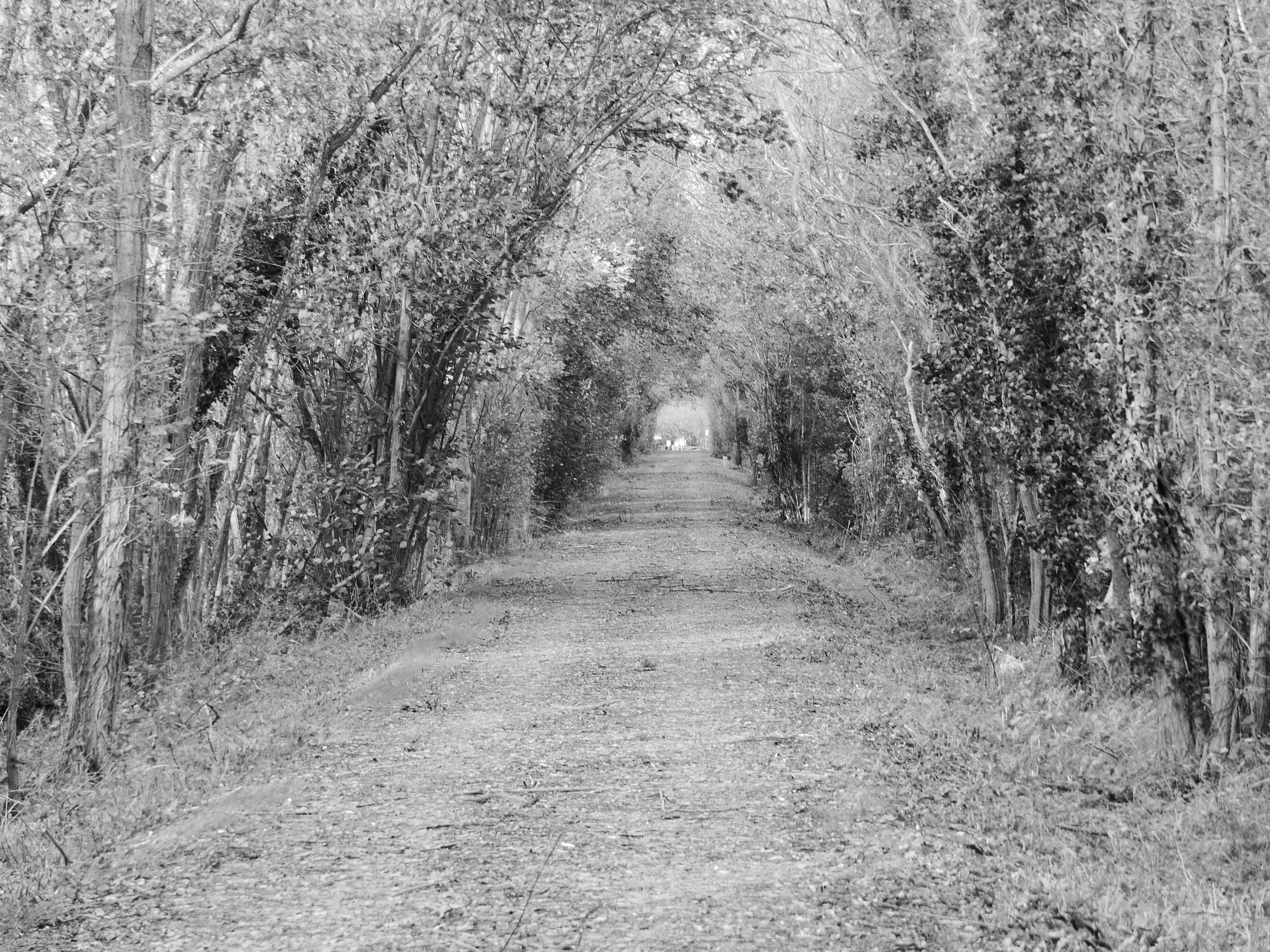 chemin 2