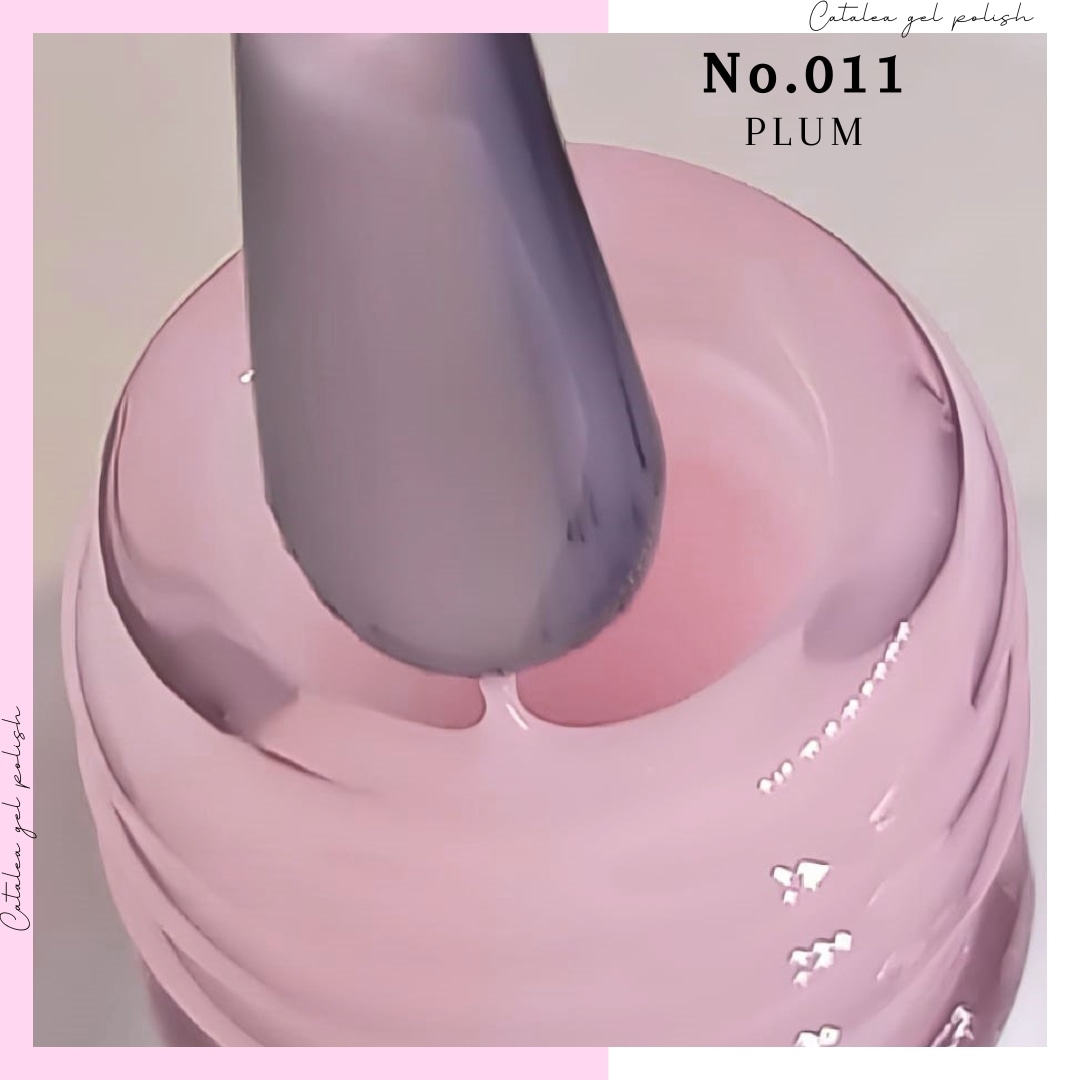 Plum Gel Nail Polish No.011