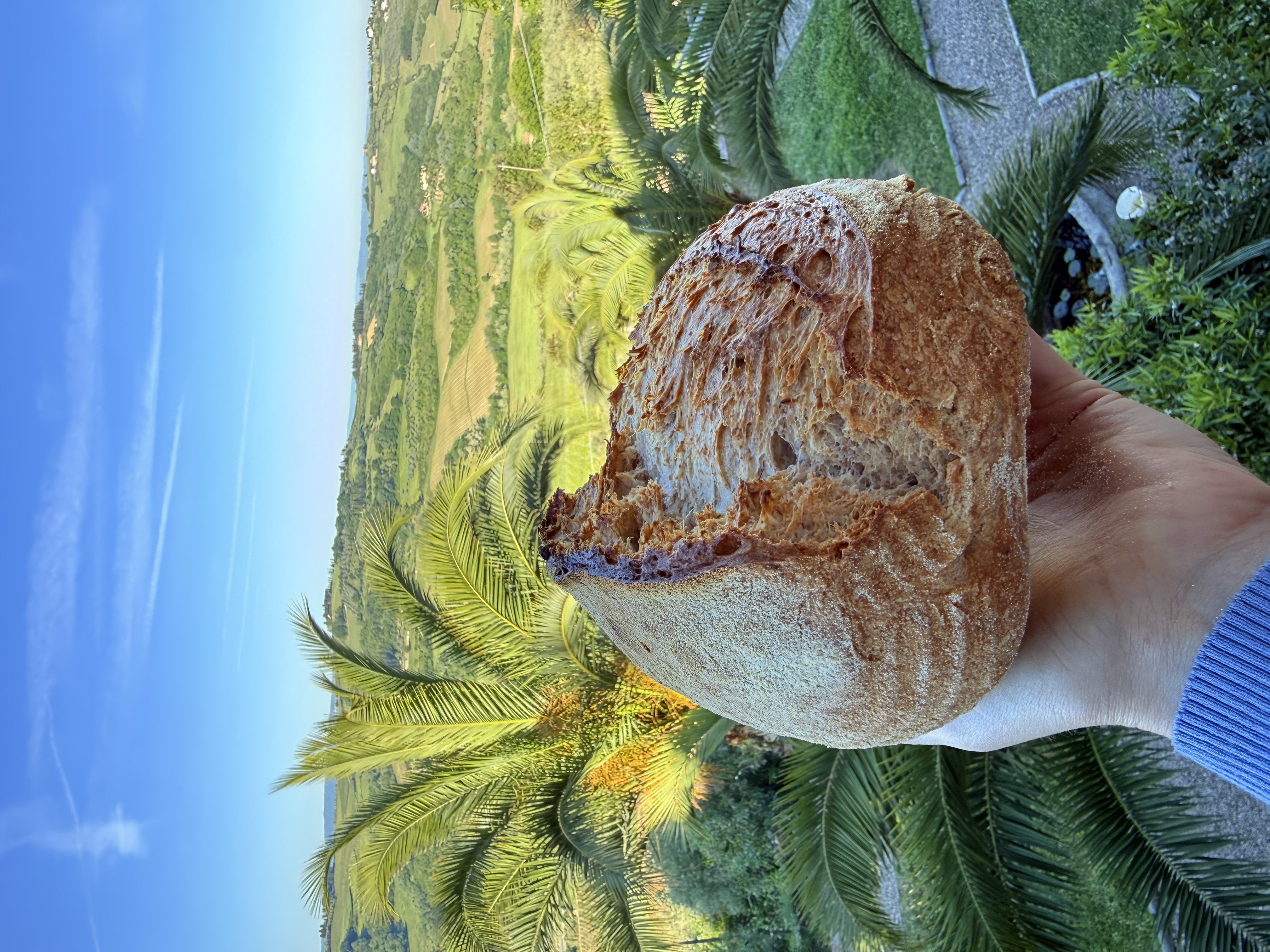 The Ultimate Sourdough Guide PDF
