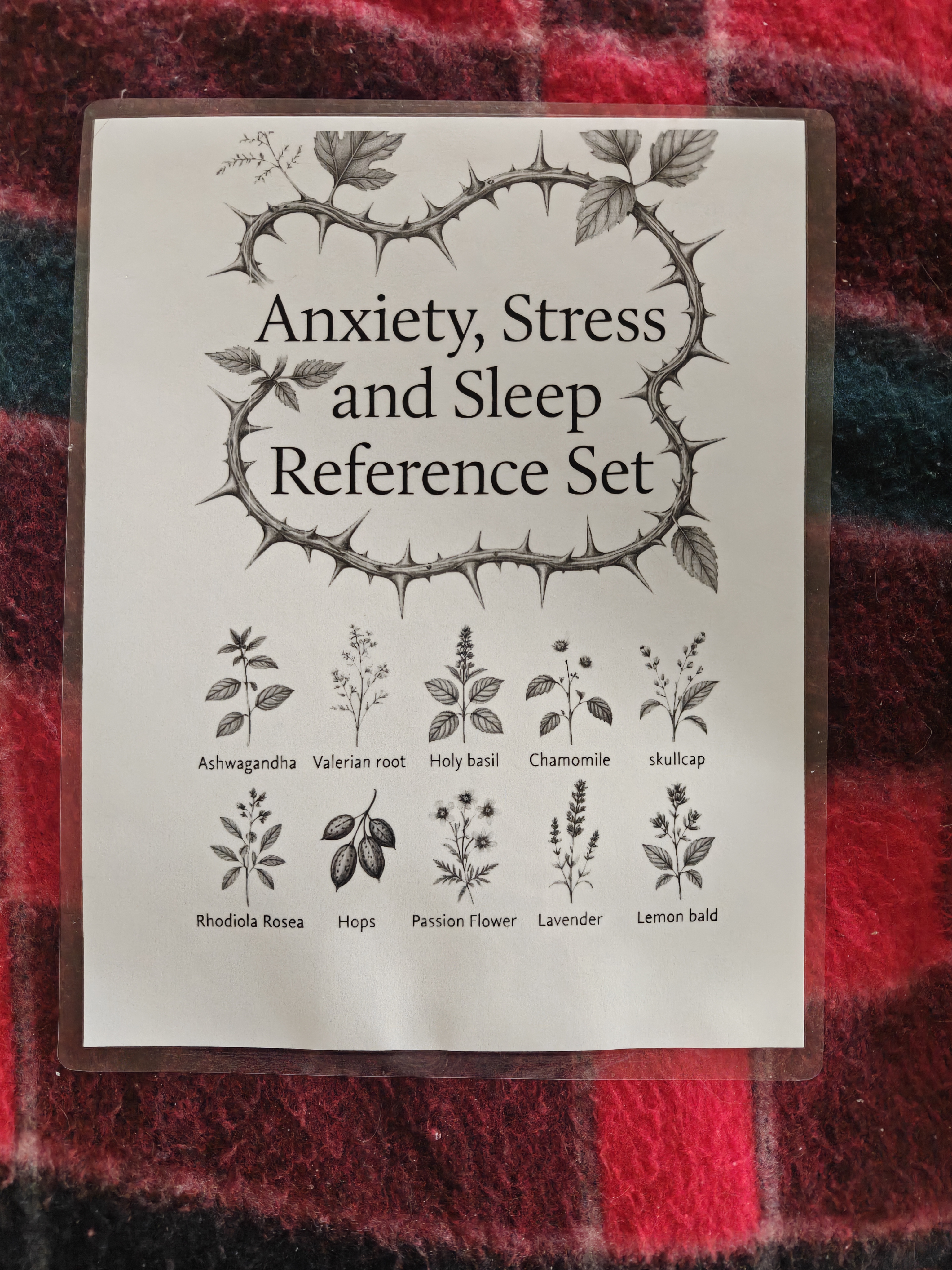 Anxiety Calm and SLEEP reference SET single