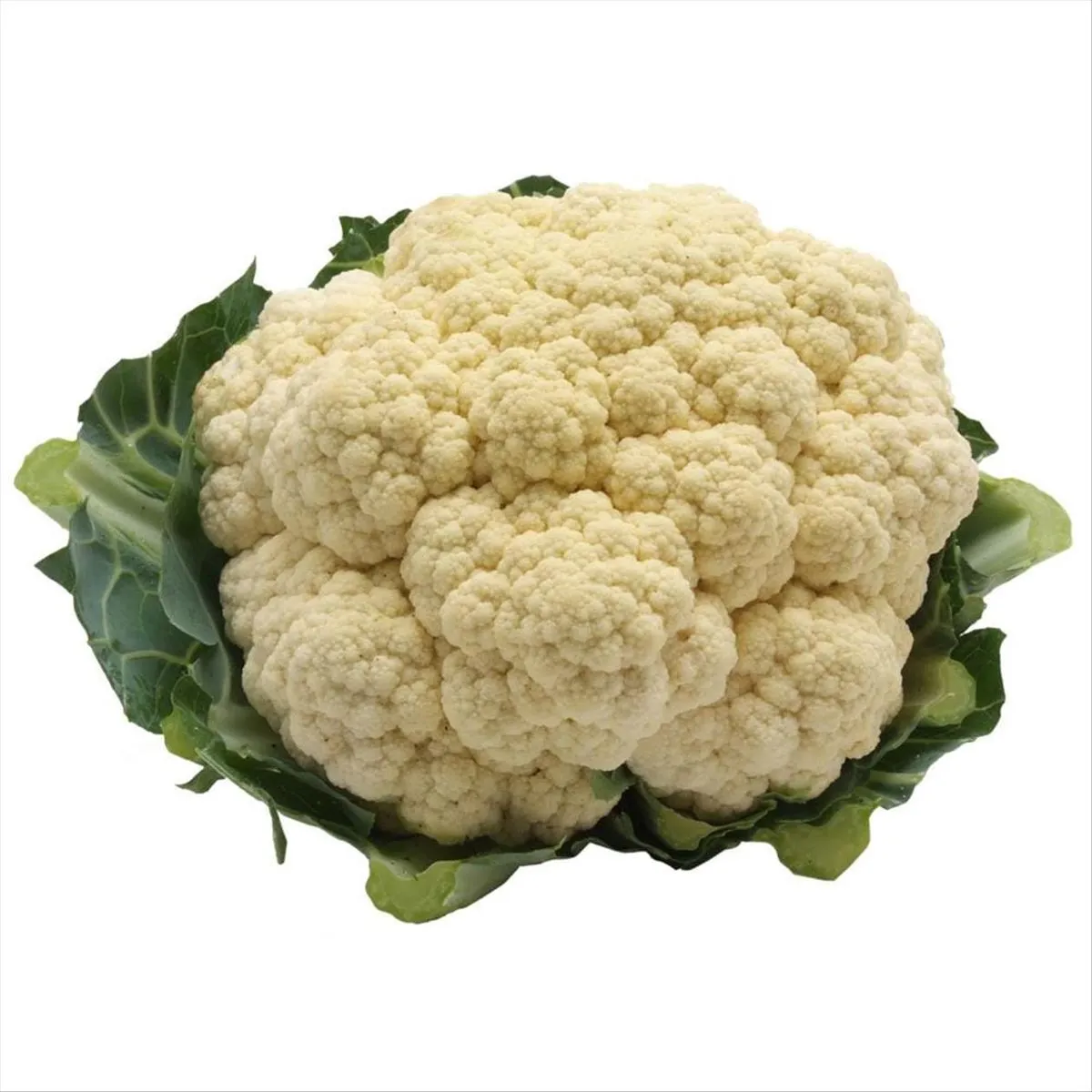 Couve-Flor