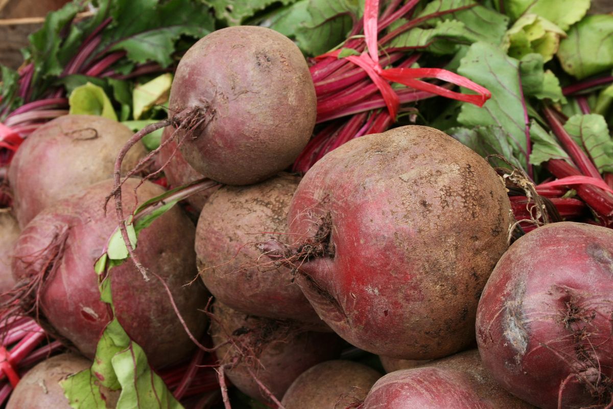 Beterraba Suja
