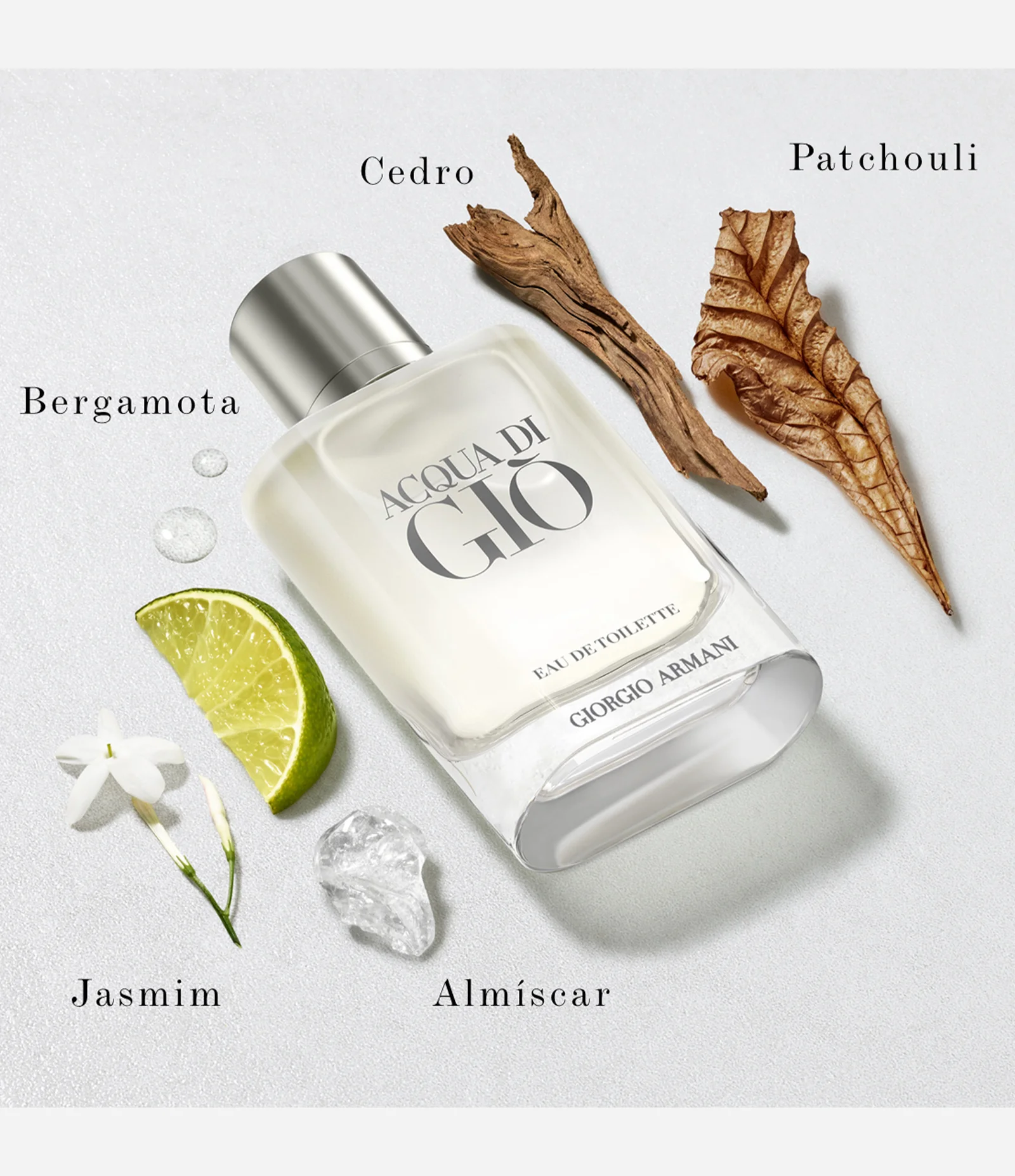 Giorgio Armani Acqua di Gio Homme Eau de Toilette Masculino 100ml