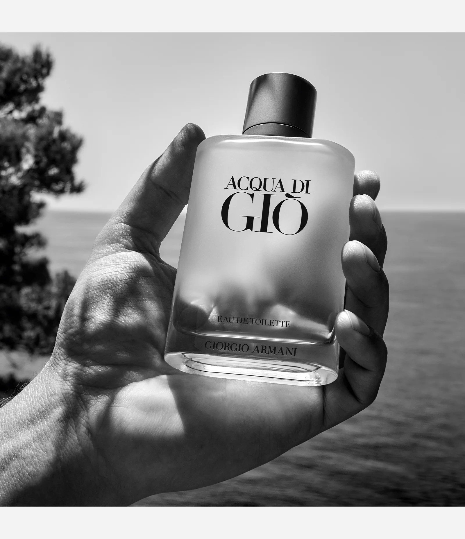 Giorgio Armani Acqua di Gio Homme Eau de Toilette Masculino 100ml