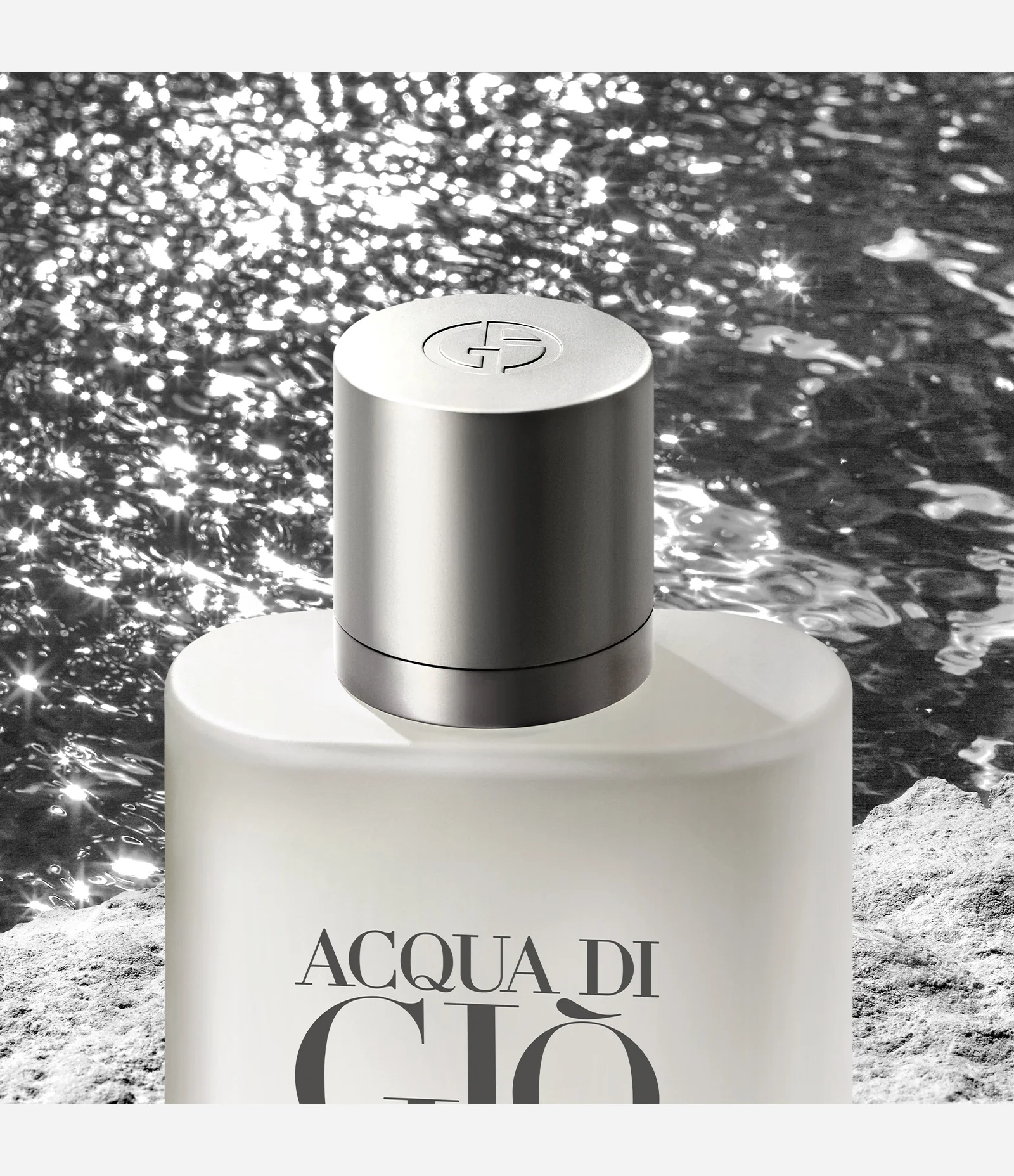 Giorgio Armani Acqua di Gio Homme Eau de Toilette Masculino 100ml