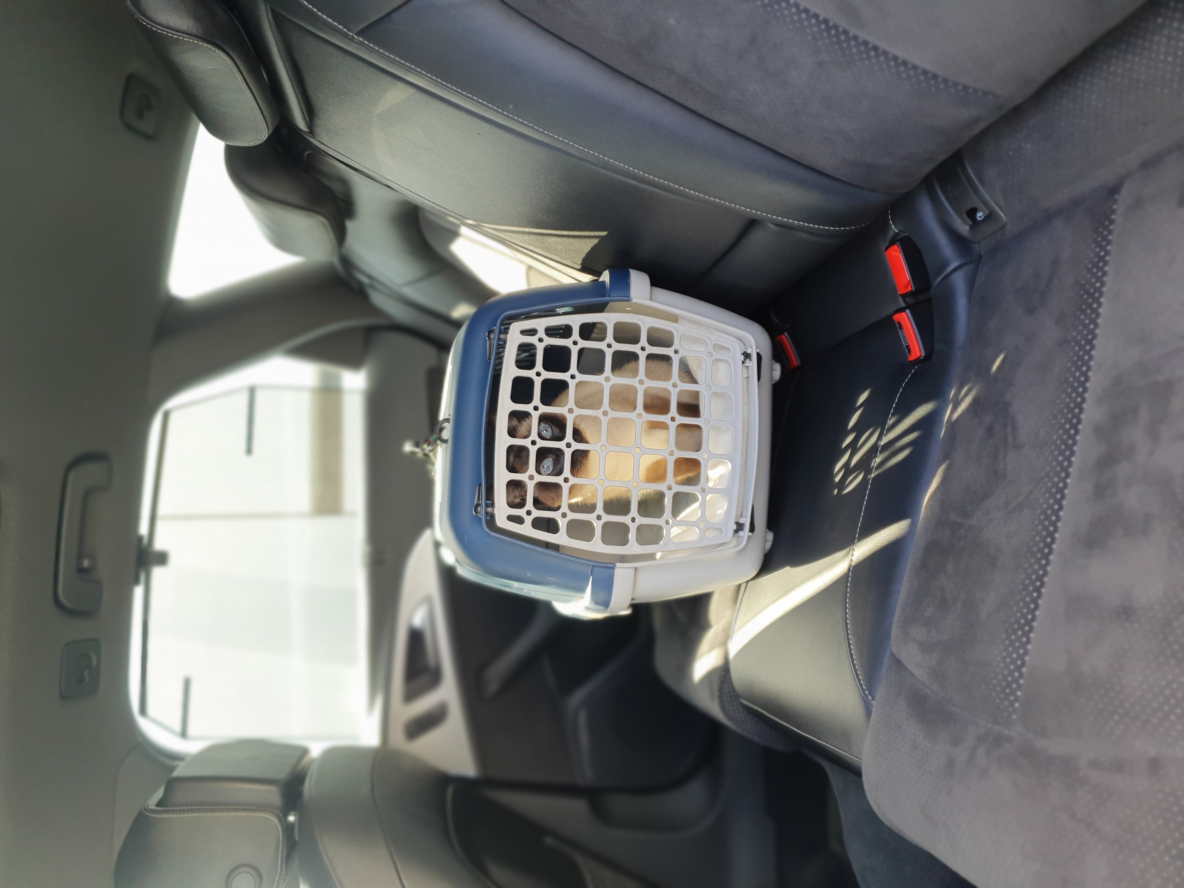 Selbstlernkurs "Stressfreies Autofahren"