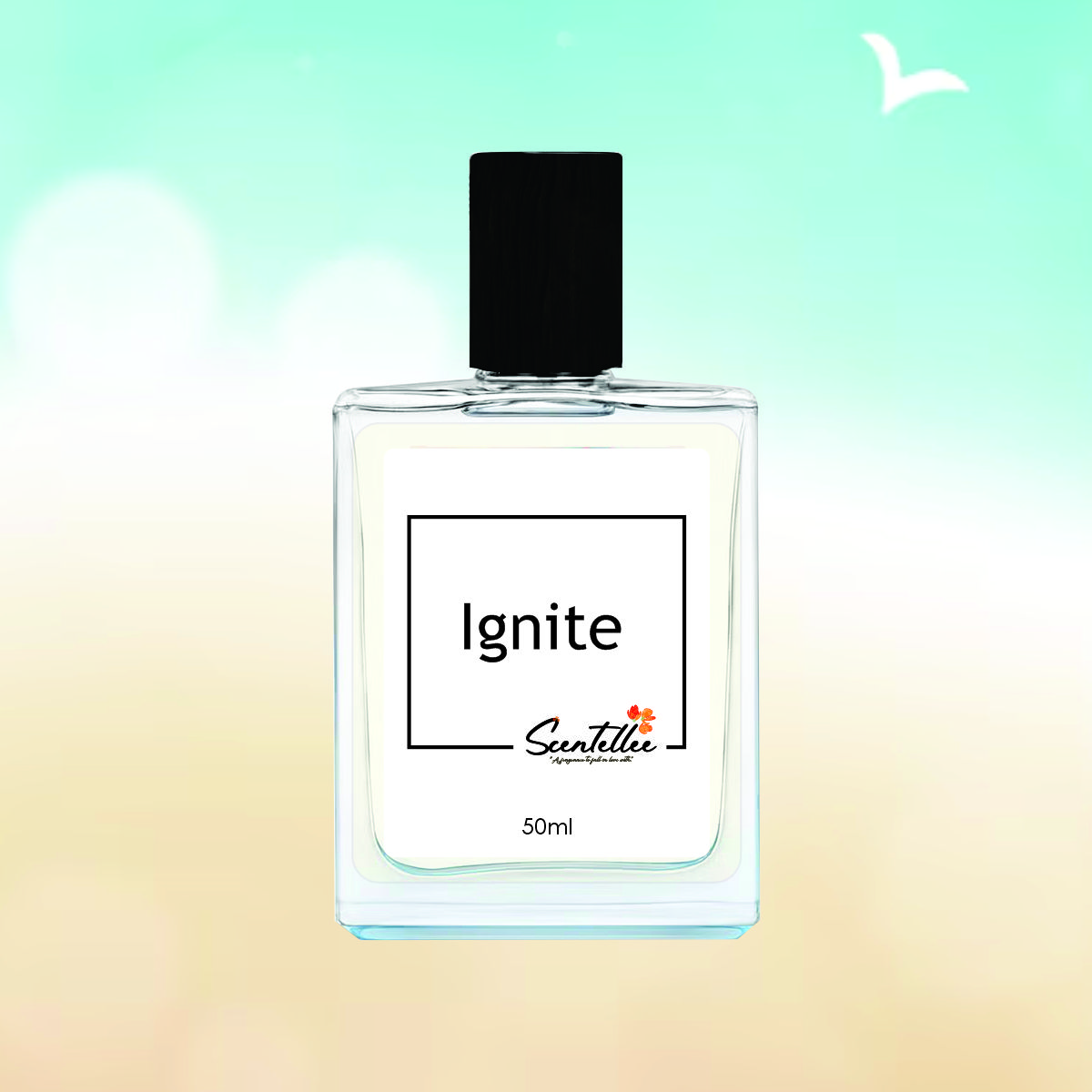 Ignite