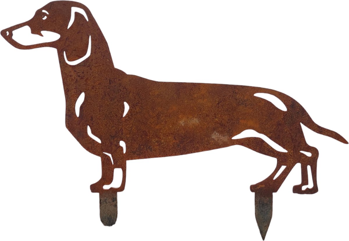 Teckel poil court - statue de jardin - 63x35