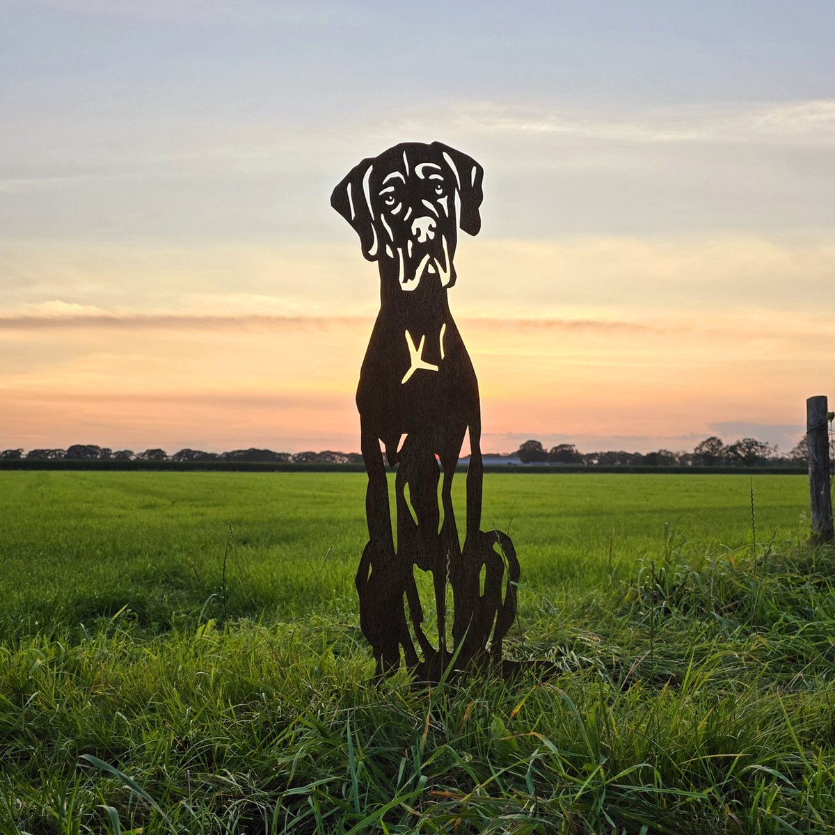 Dogue allemand - statue de jardin - 95x49