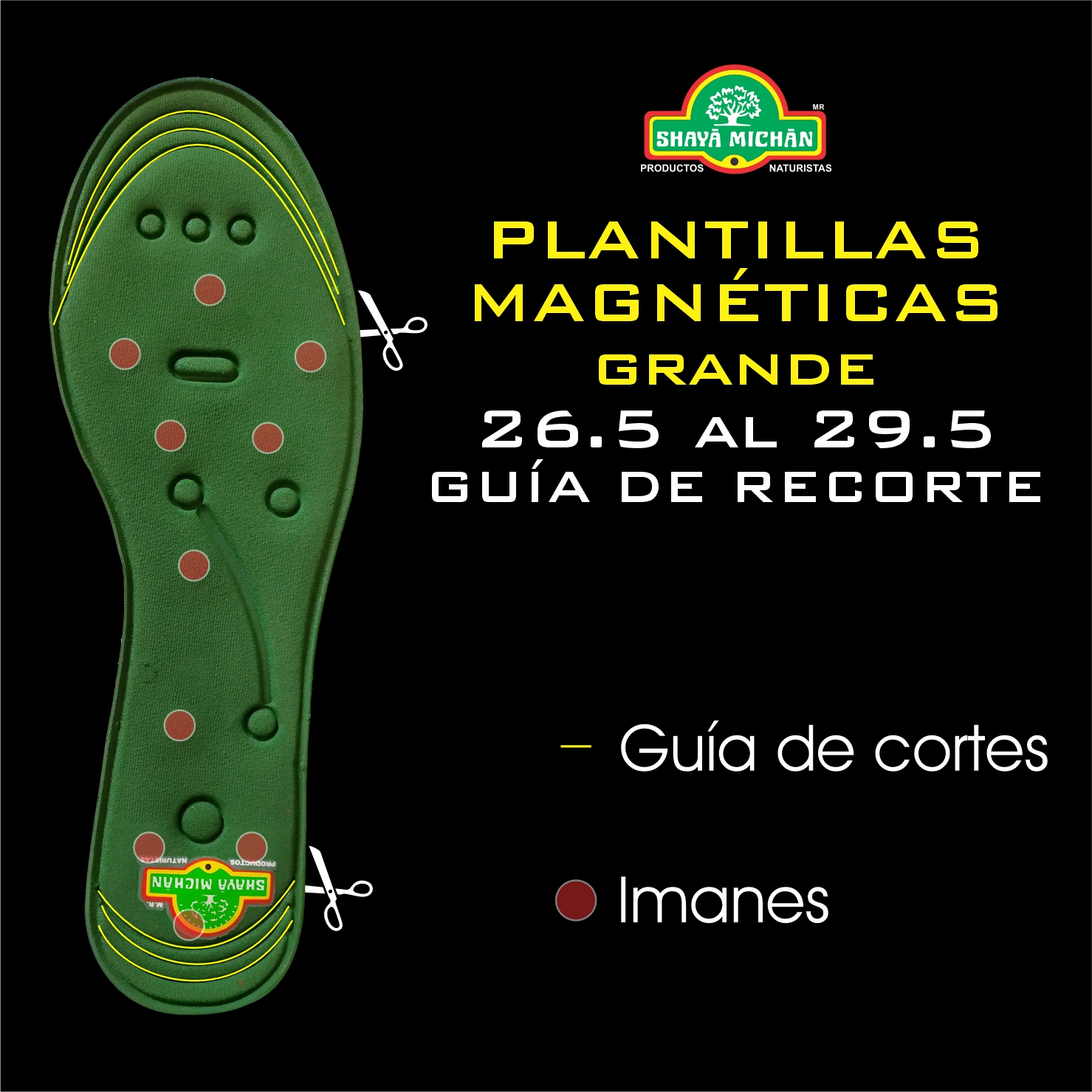 Plantillas Magnéticas Shaya Michan
