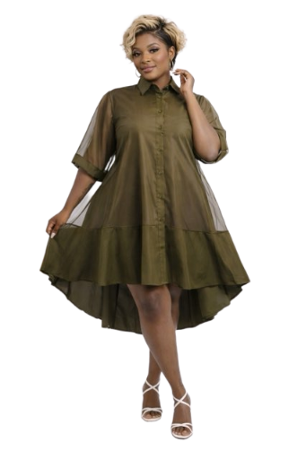 Betty Net  Dress
