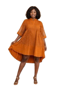 Marla Mesh Dress