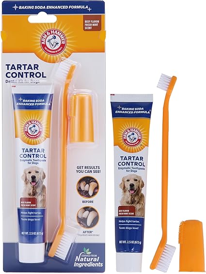 Arm & Hammer Tartar Control Toothpaste Kit for Dogs