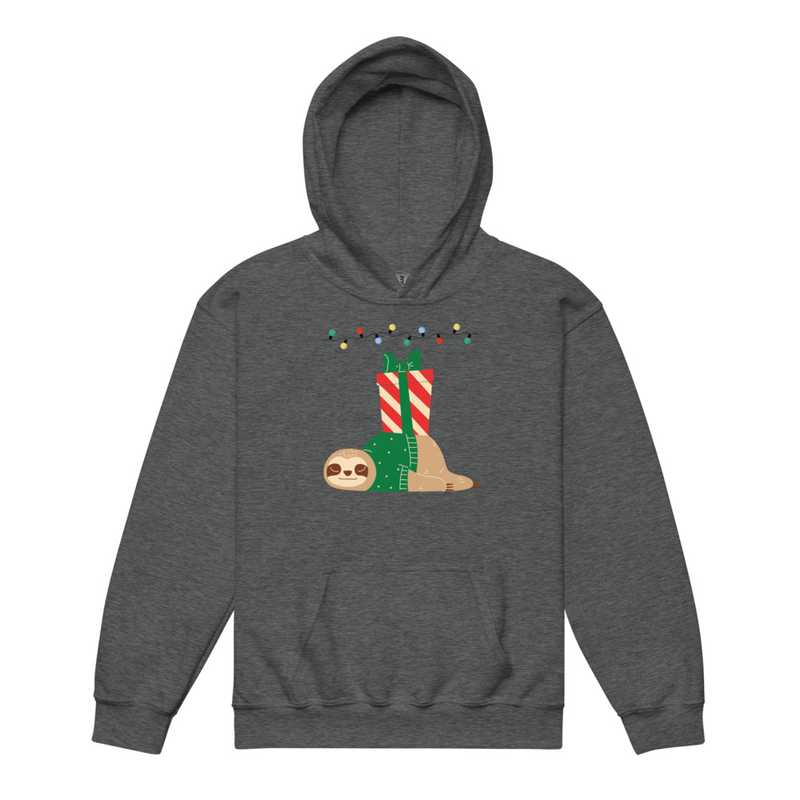Sleighin’ It Slow Youth hoodie